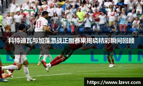 mk体育平台