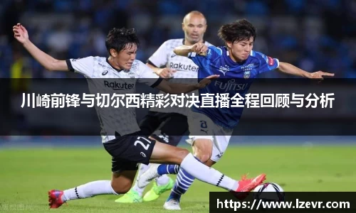 mk体育官网入口