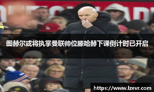 mk体育