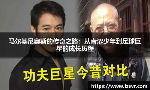 mk体育官网入口